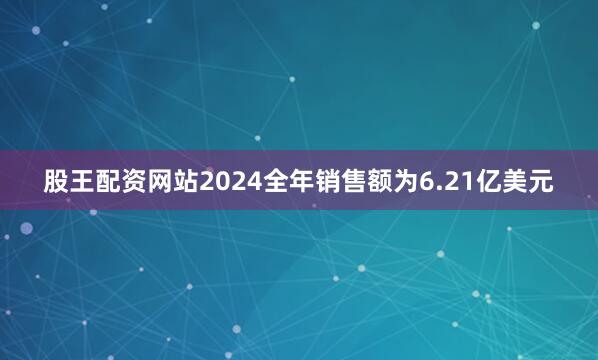 股王配资网站2024全年销售额为6.21亿美元