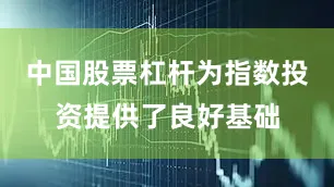 中国股票杠杆为指数投资提供了良好基础
